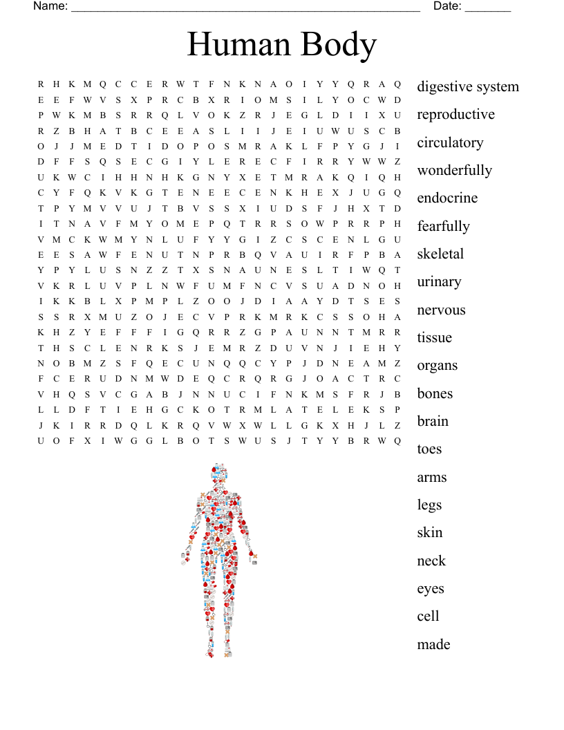 Human Body Word Search