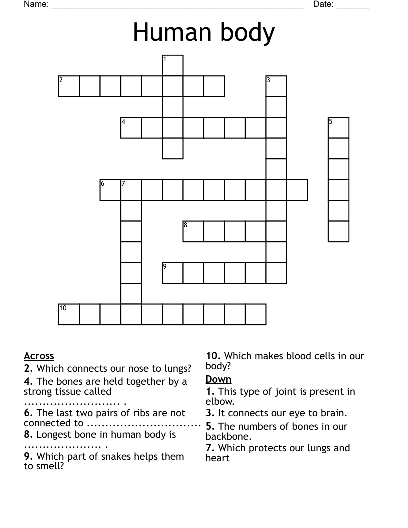 Human body Crossword