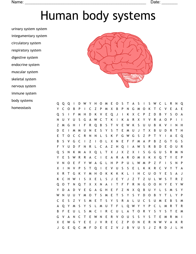 Human body systems Word Search