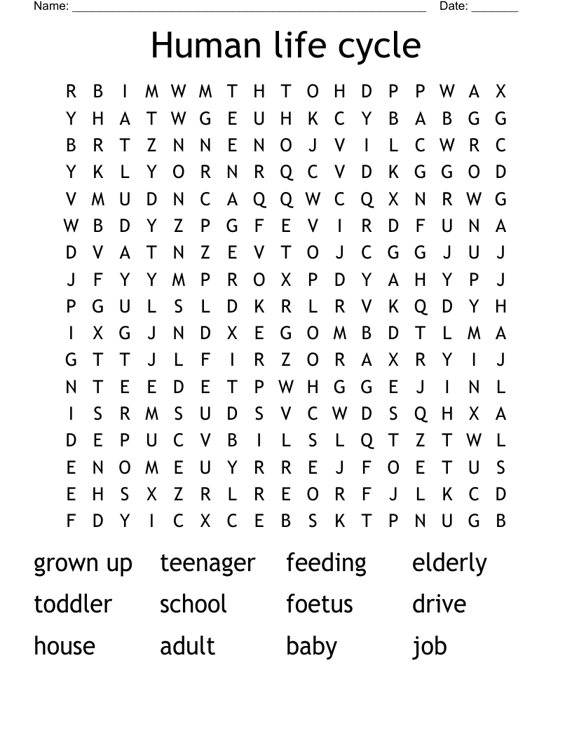 Human life cycle Word Search