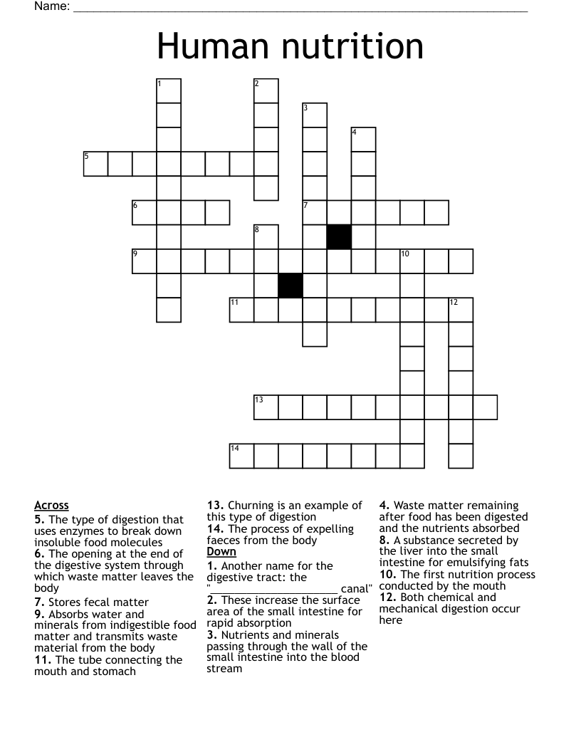 Human nutrition Crossword