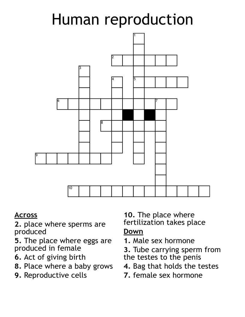 Human reproduction Crossword