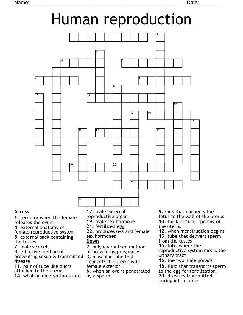 Human reproduction Crossword
