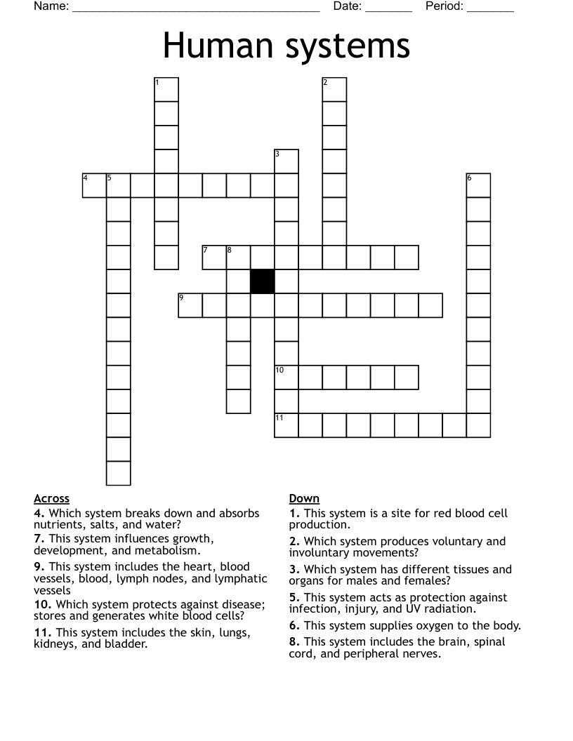 Human systems Crossword