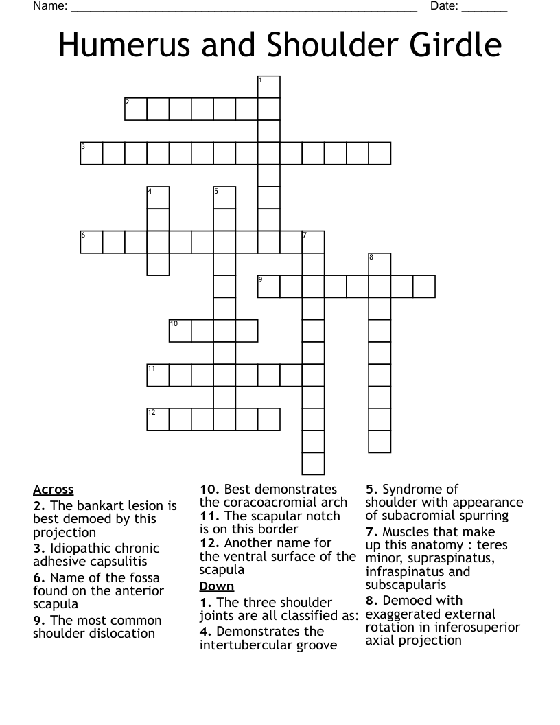 Humerus and Shoulder Girdle Crossword