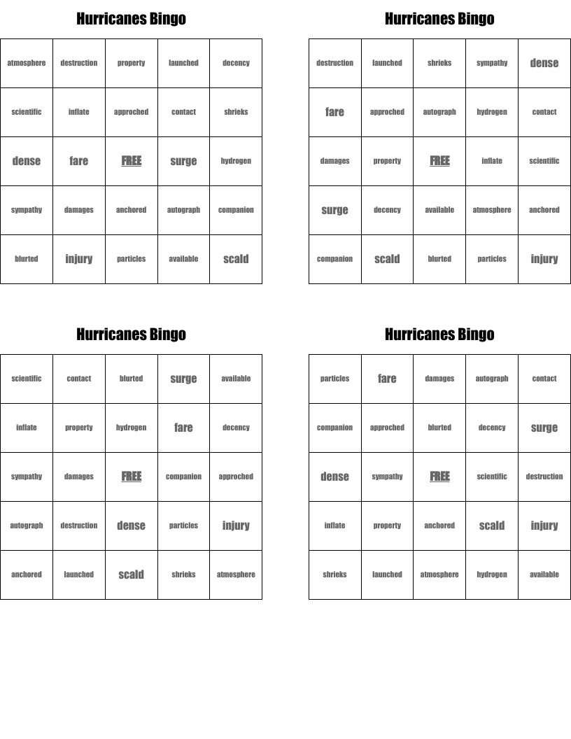 Hurricanes Bingo