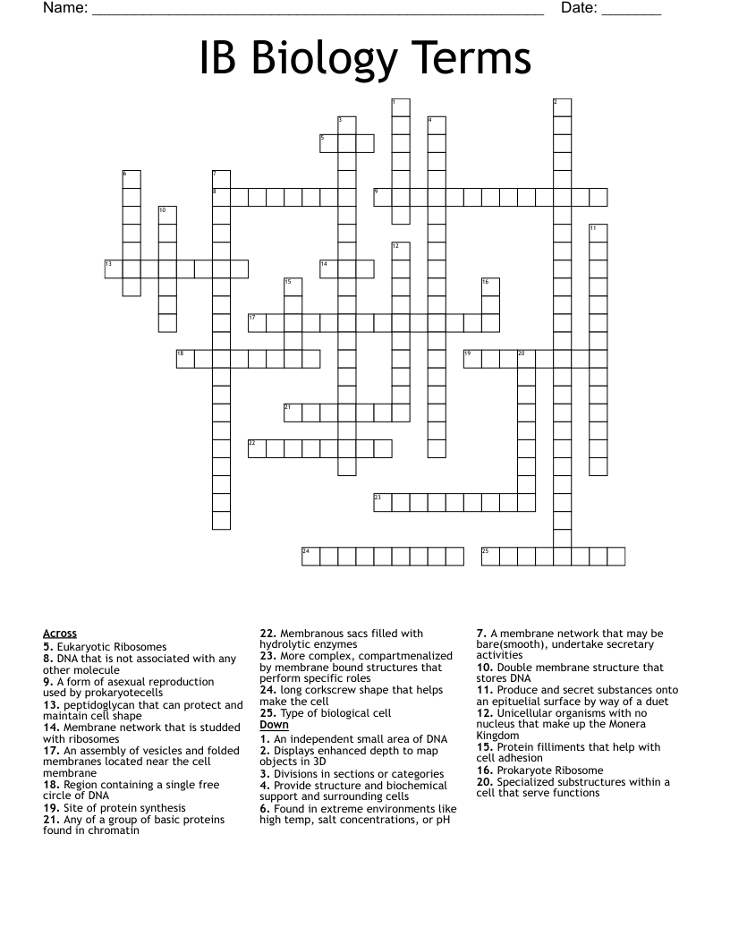 IB Biology Terms Crossword
