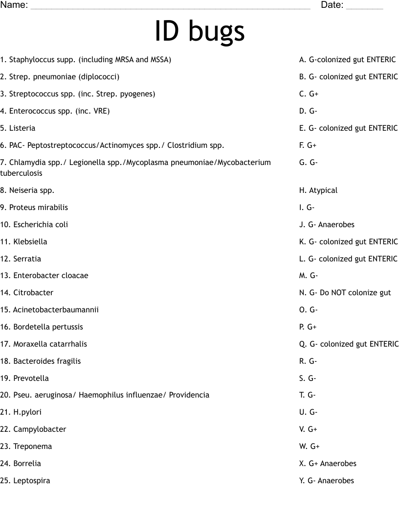 ID bugs  Worksheet