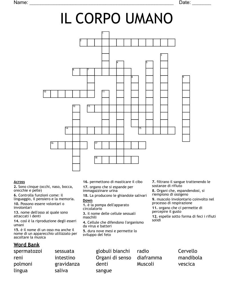 IL CORPO UMANO  Crossword