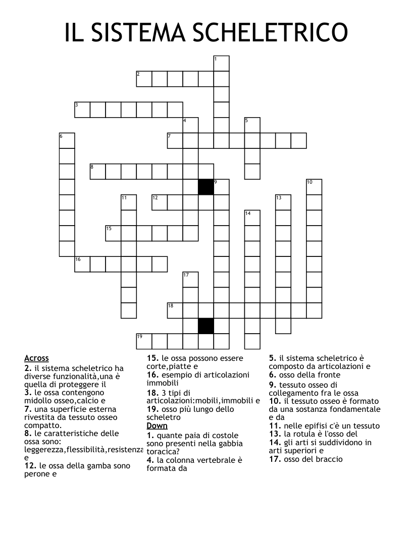 IL SISTEMA SCHELETRICO Crossword