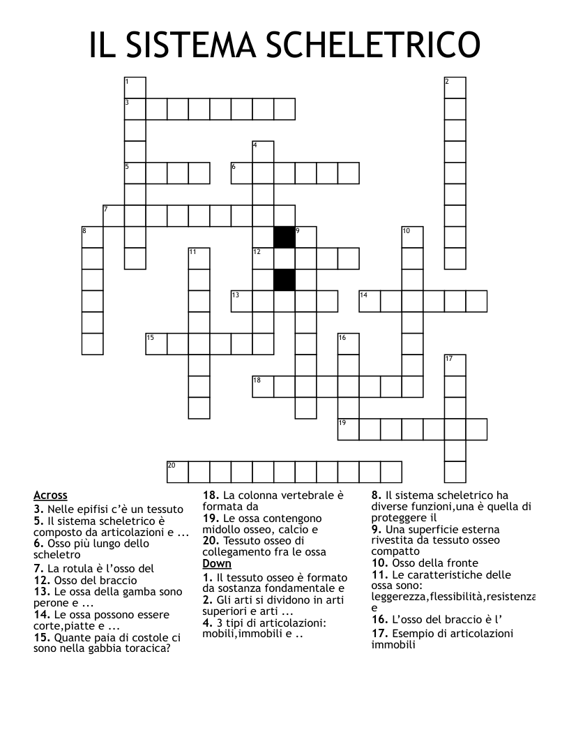 IL SISTEMA SCHELETRICO  Crossword