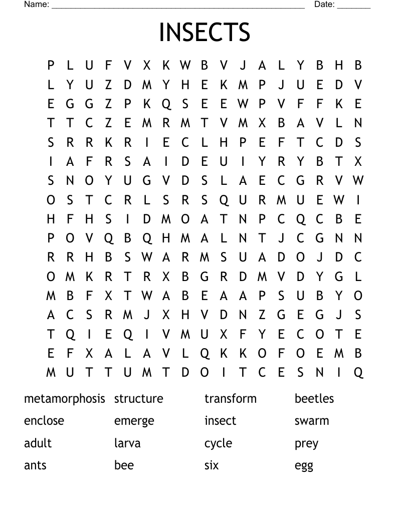 INSECTS Word Search