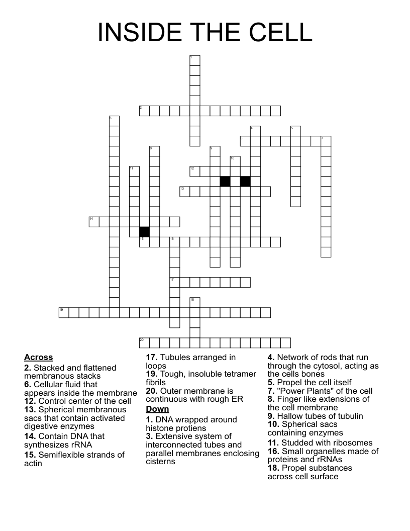 INSIDE THE CELL Crossword
