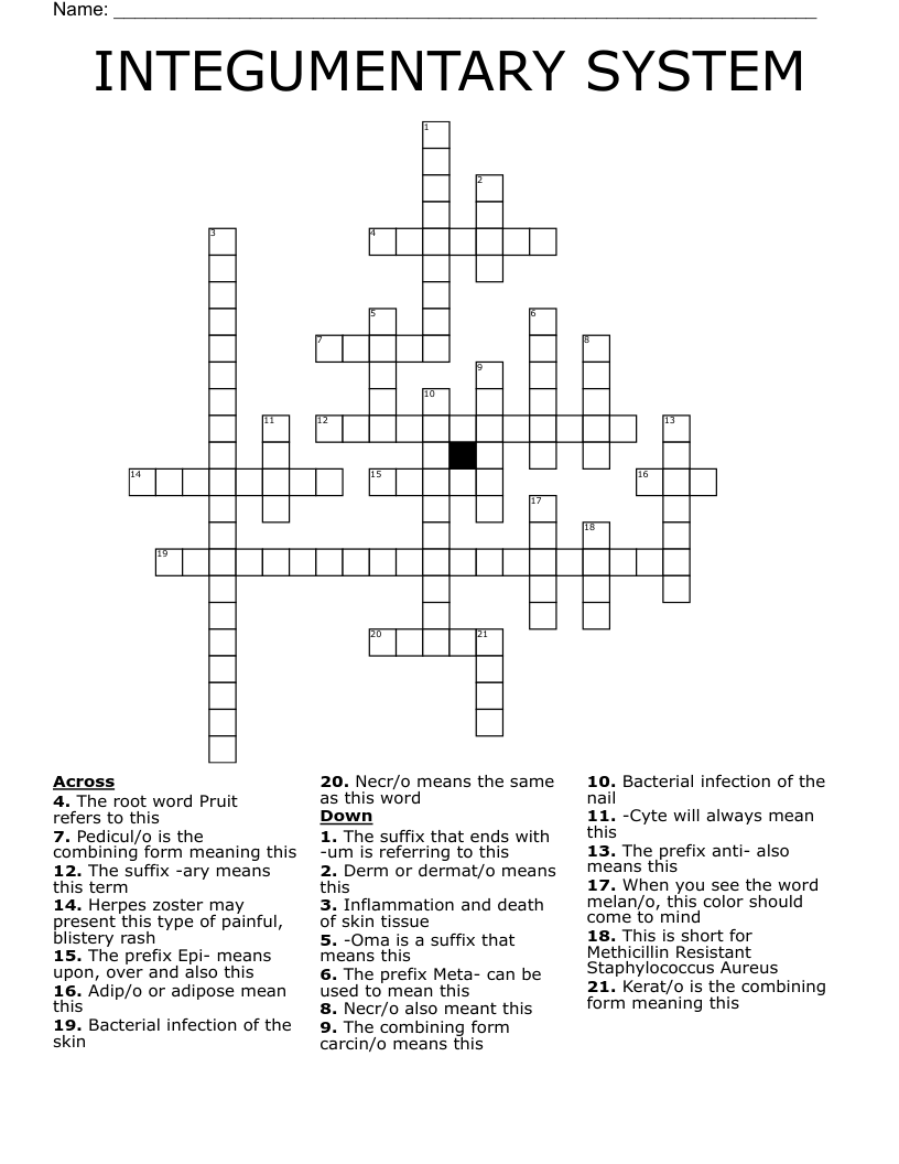 INTEGUMENTARY SYSTEM Crossword