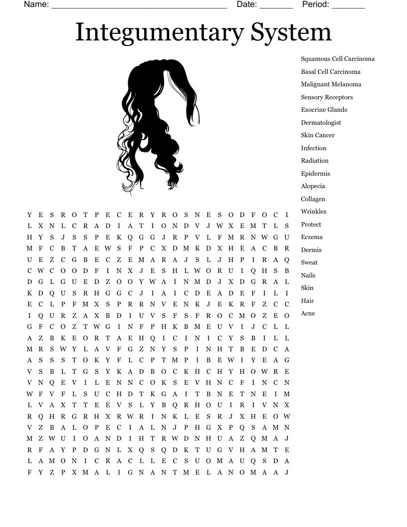 Integumentary System Word Search