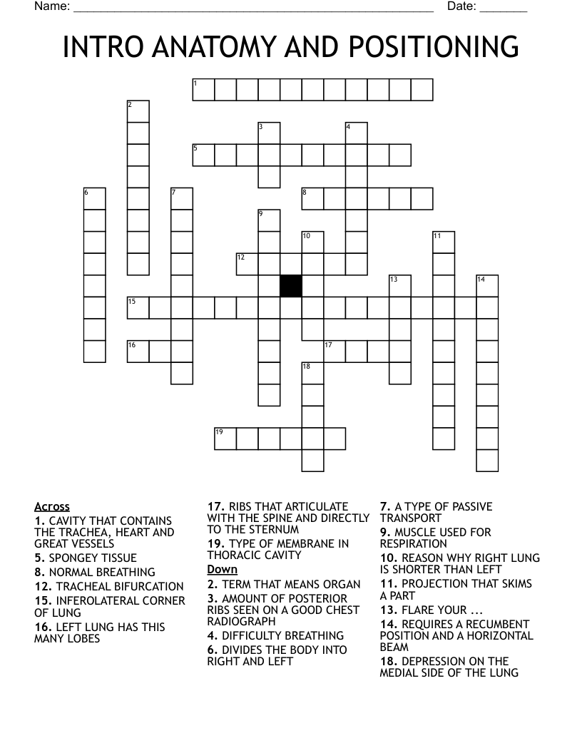 INTRO ANATOMY AND POSITIONING Crossword