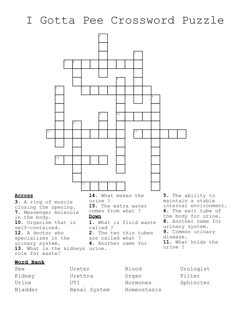 I Gotta Pee Crossword Puzzle