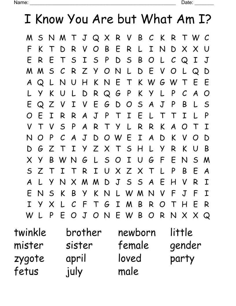 I Know You Are but What Am I? Word Search