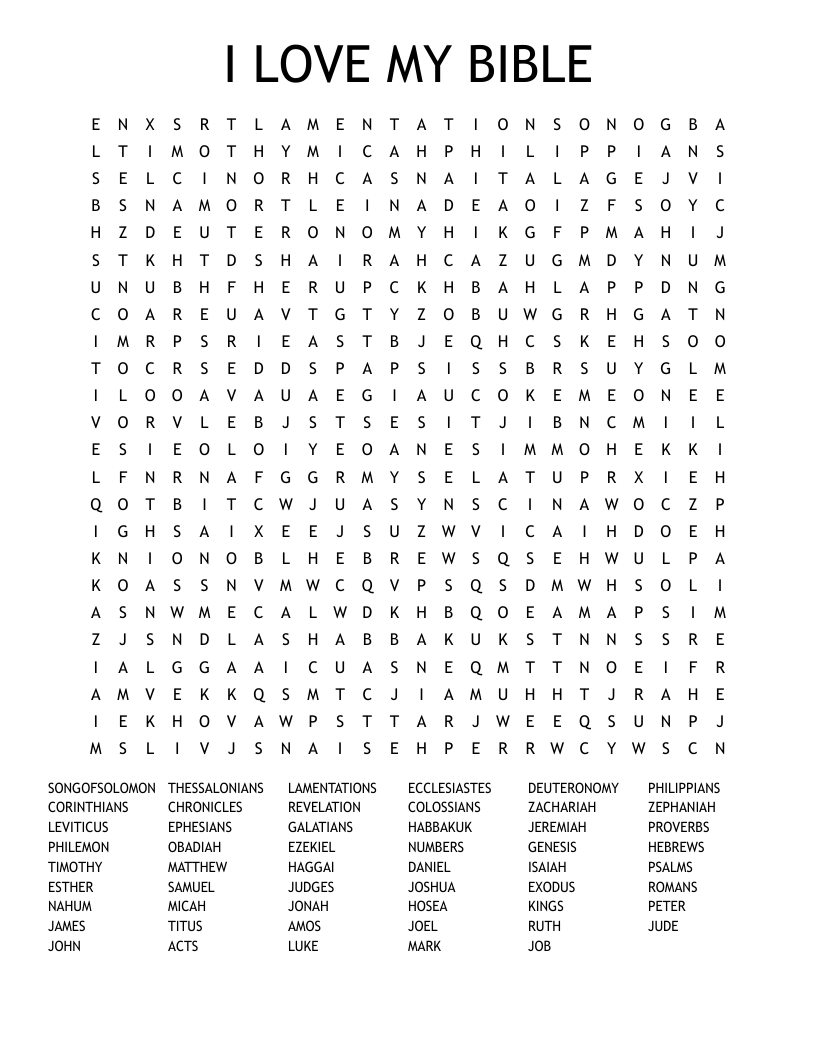 I LOVE MY BIBLE Word Search