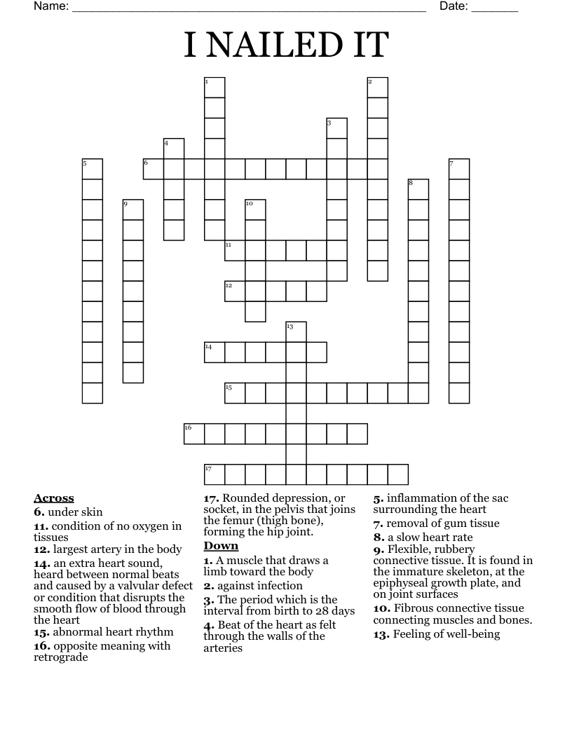 I NAILED IT  Crossword