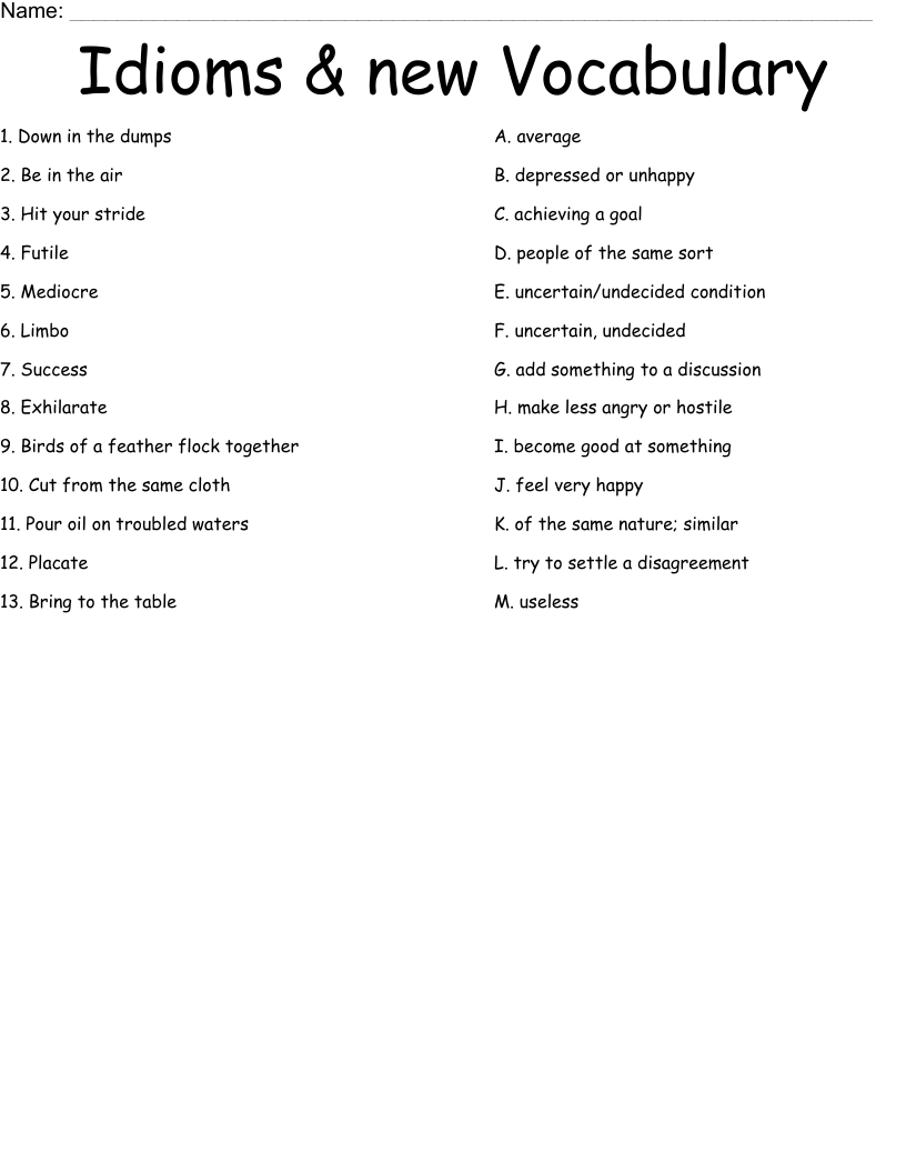 Idioms & new Vocabulary Worksheet