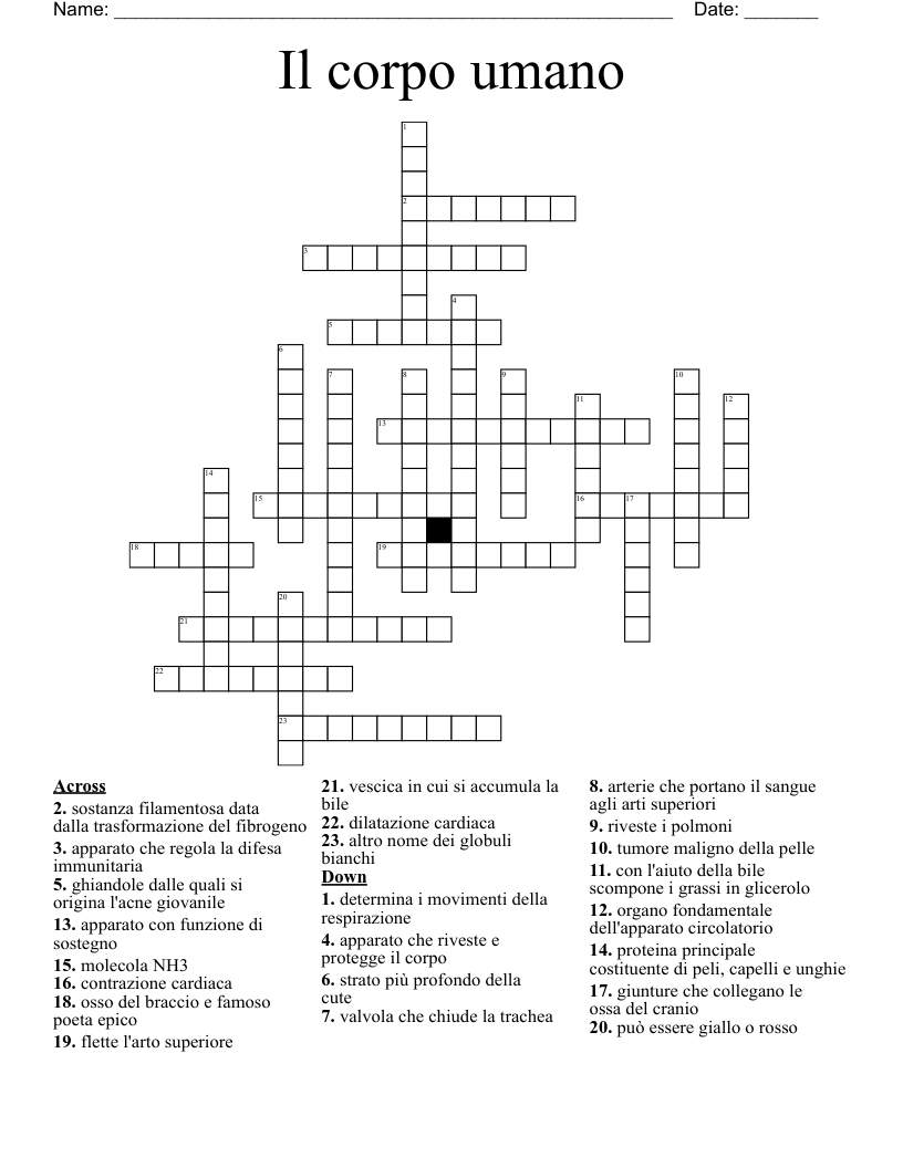 Il corpo umano  Crossword