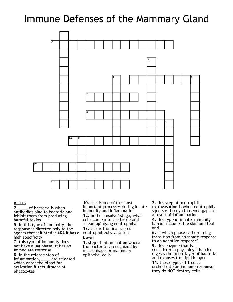 Immune Defenses of the Mammary Gland Crossword