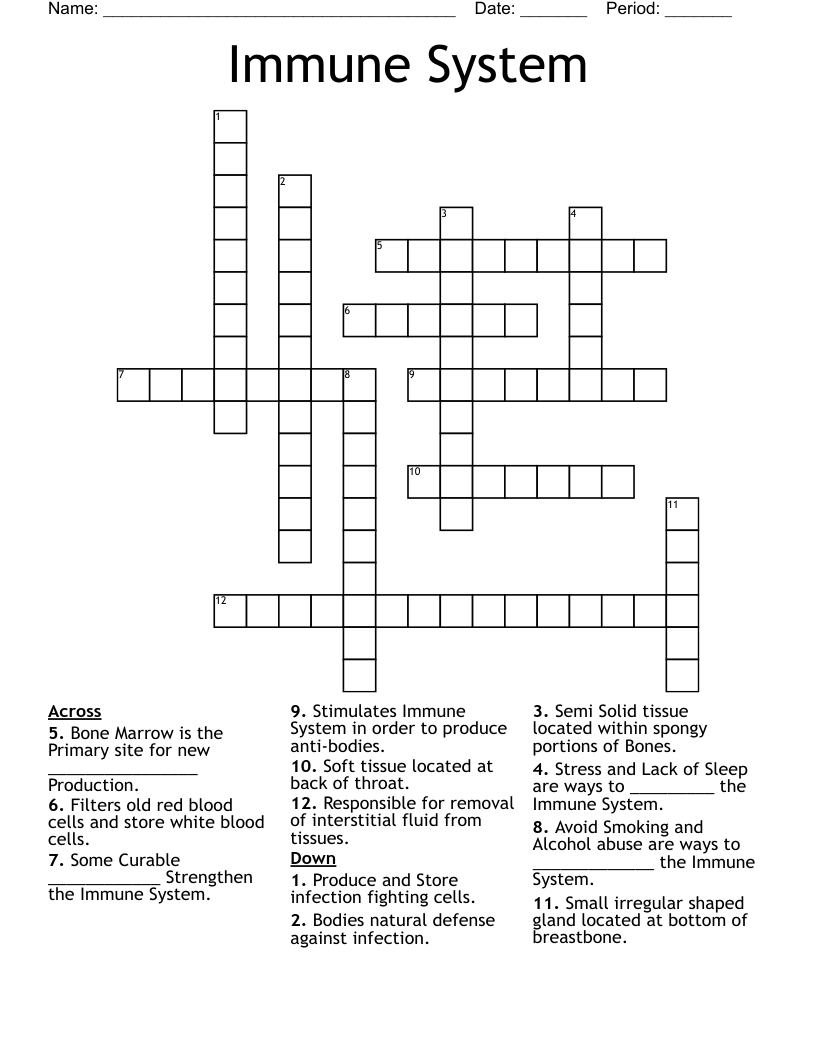 Immune System Crossword