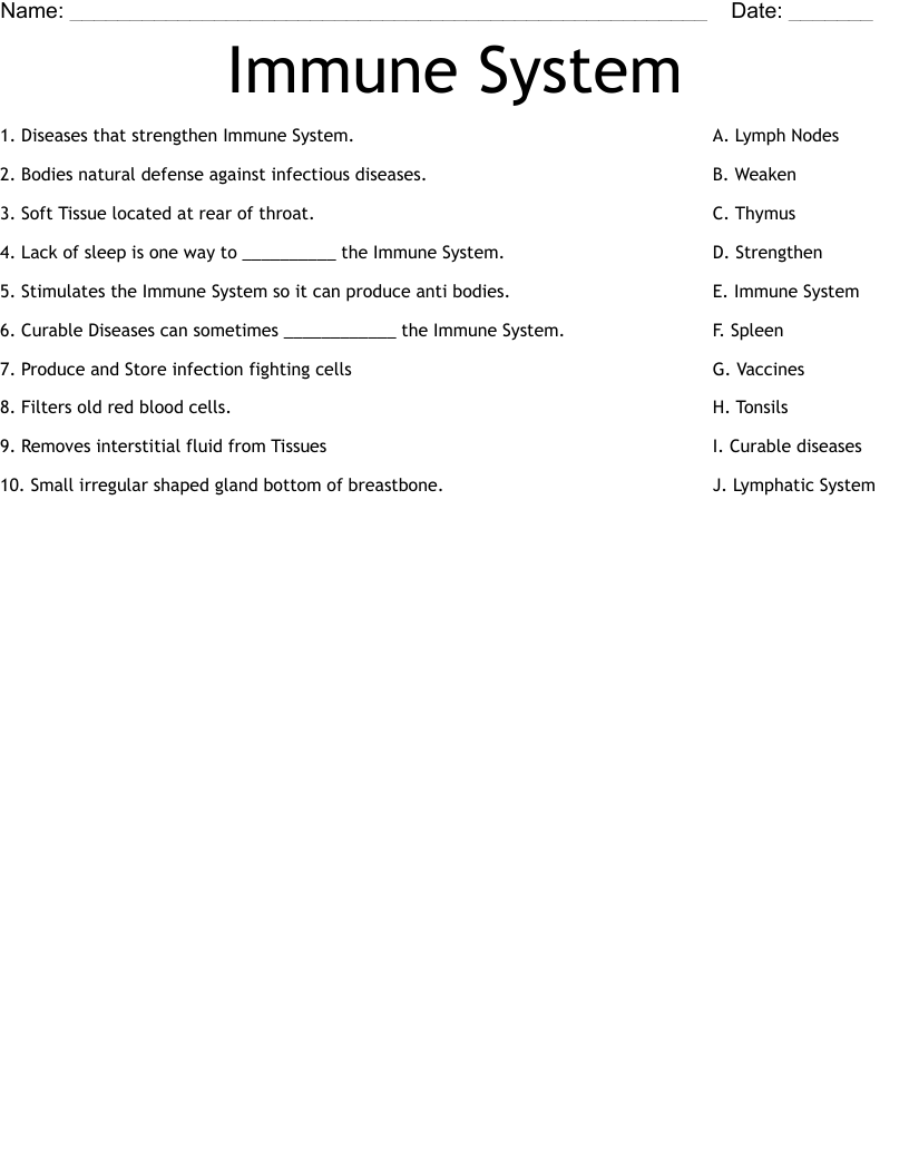Immune System Worksheet