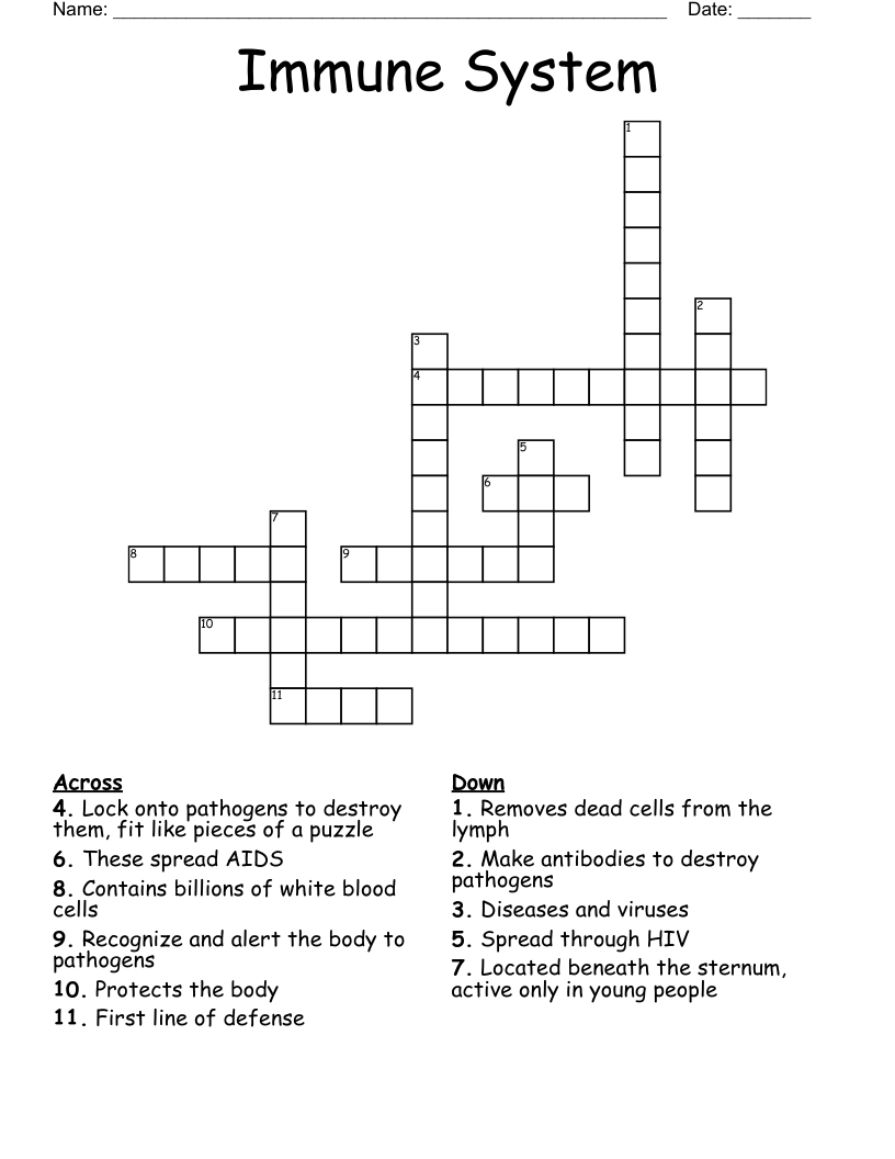 Immune System Crossword