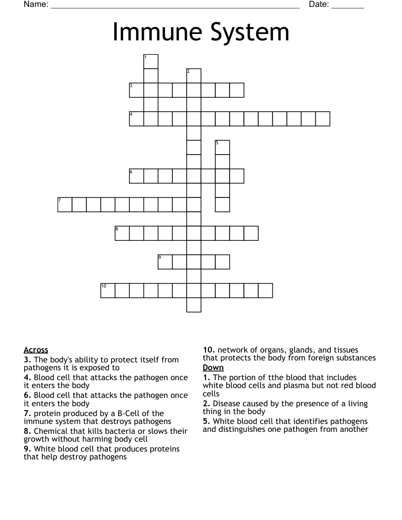 Immune System Crossword