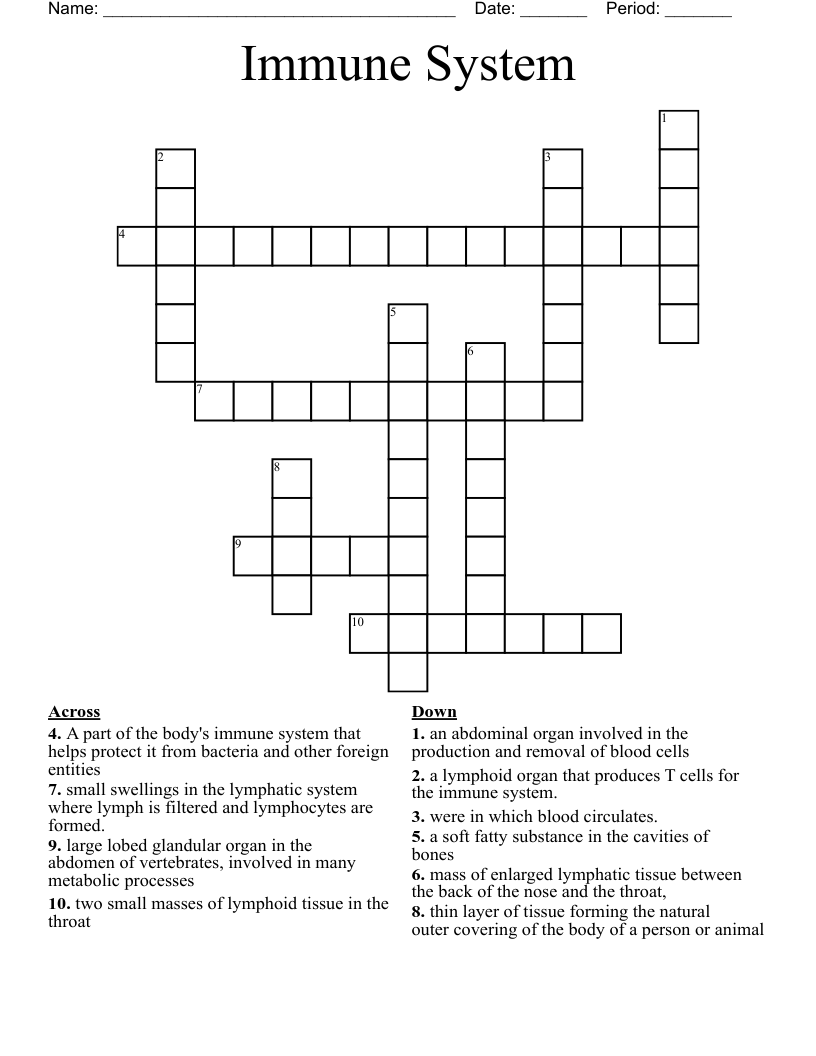 Immune System Crossword