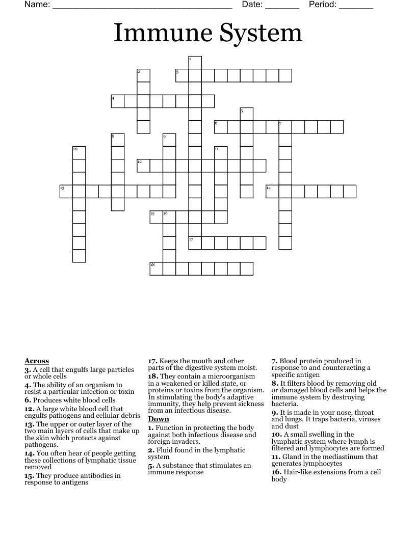 Immune System Crossword