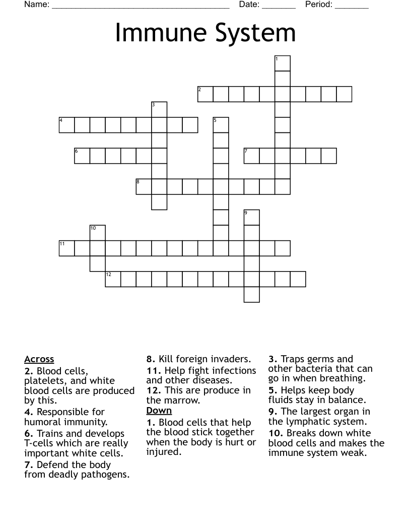 Immune System Crossword