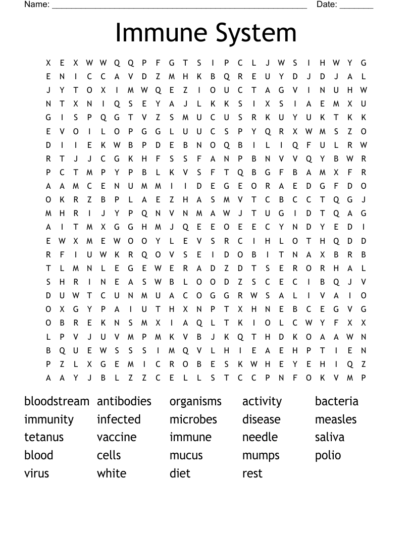Immune System Word Search