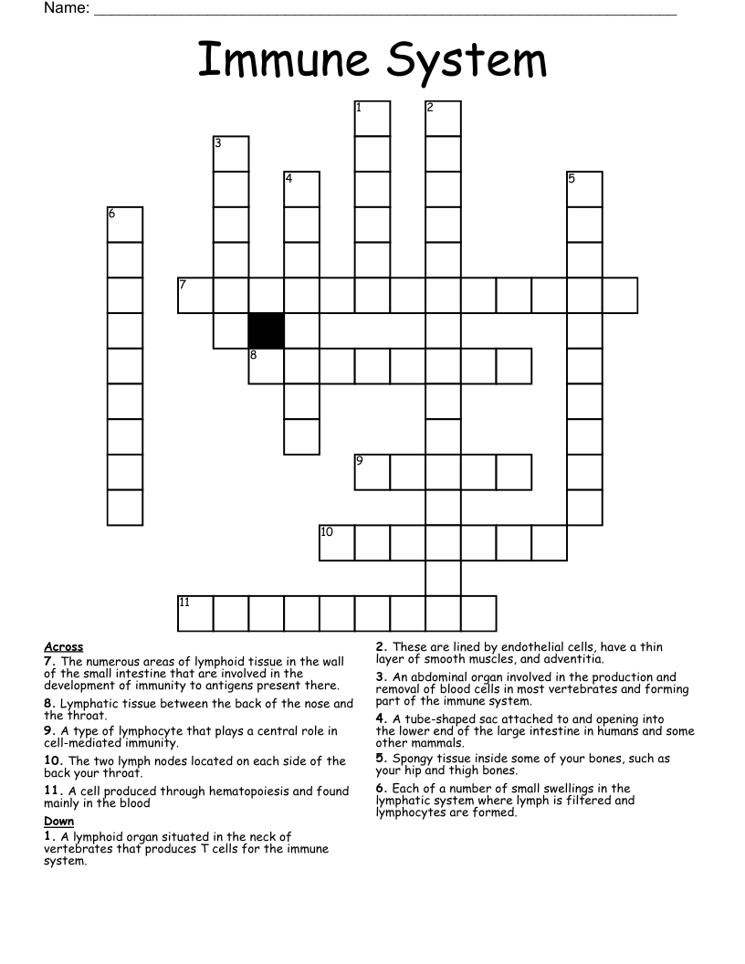 Immune System Crossword