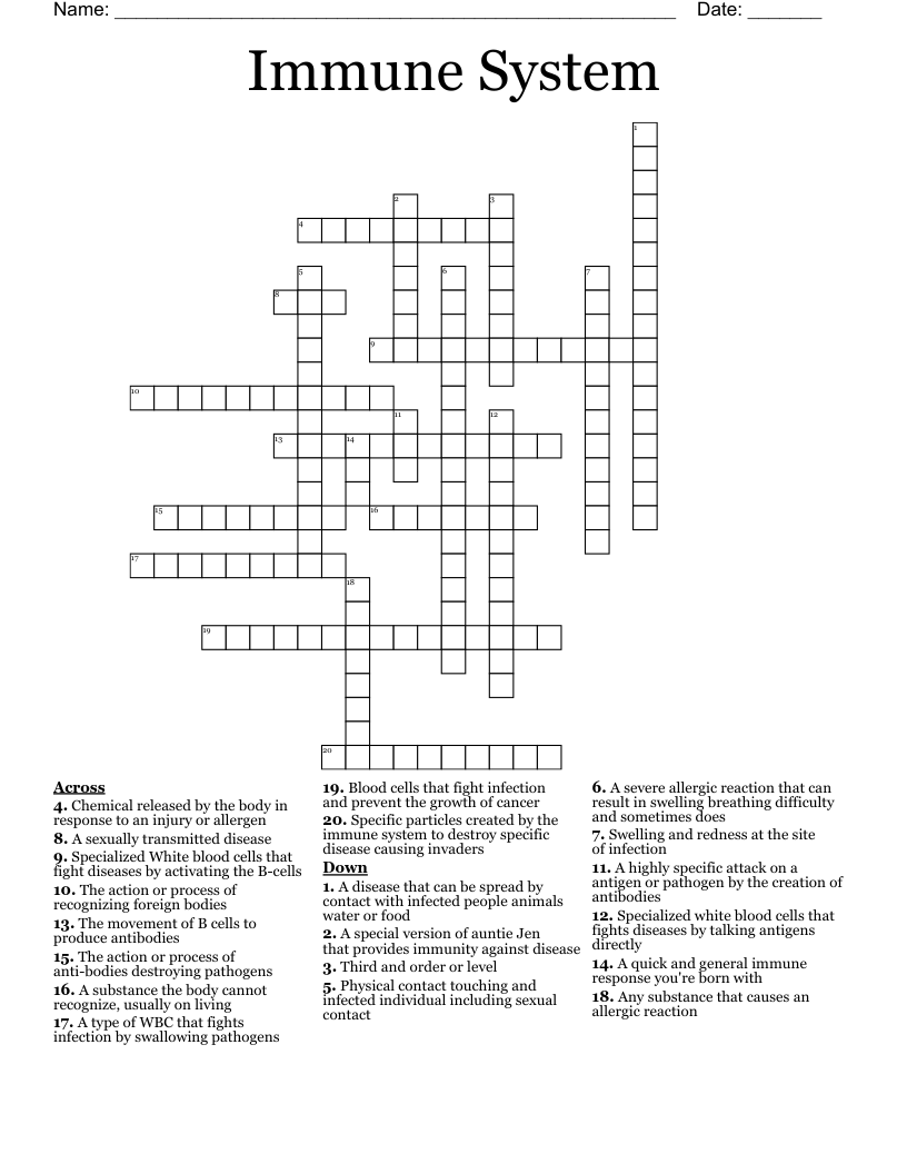 Immune System Crossword
