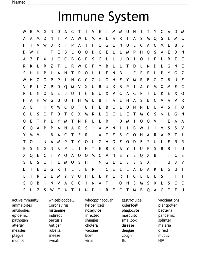 Immune System Word Search
