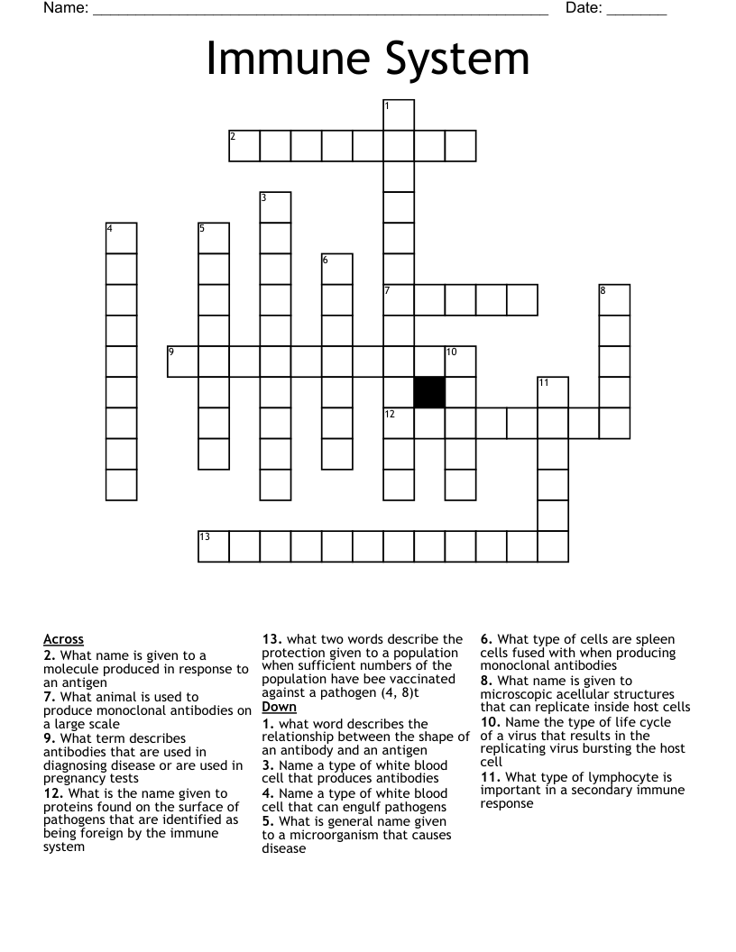 Immune System Crossword