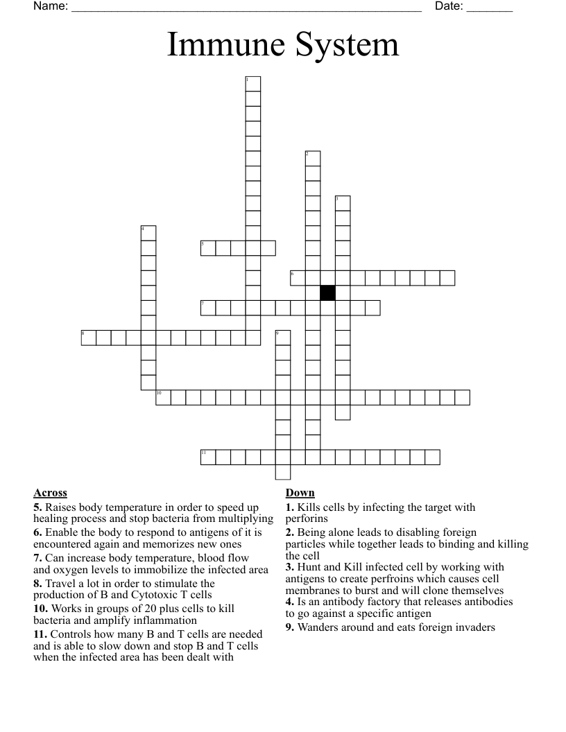 Immune System Crossword