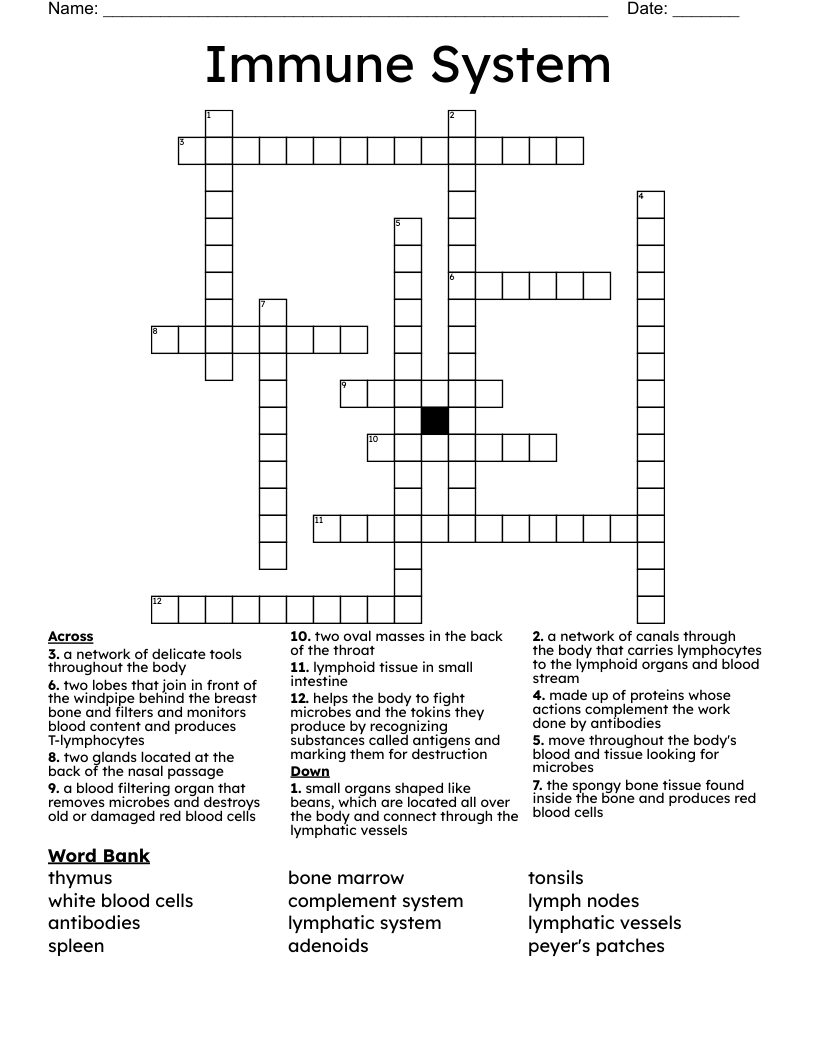 Immune System Crossword