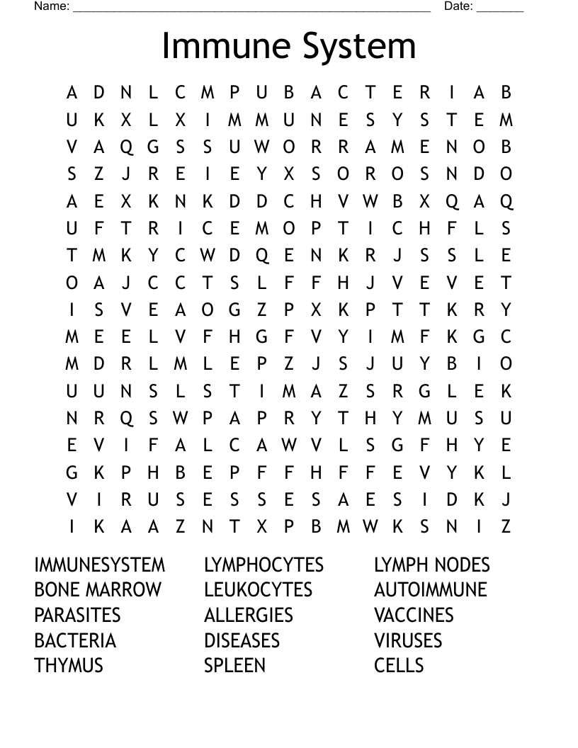 Immune System Word Search