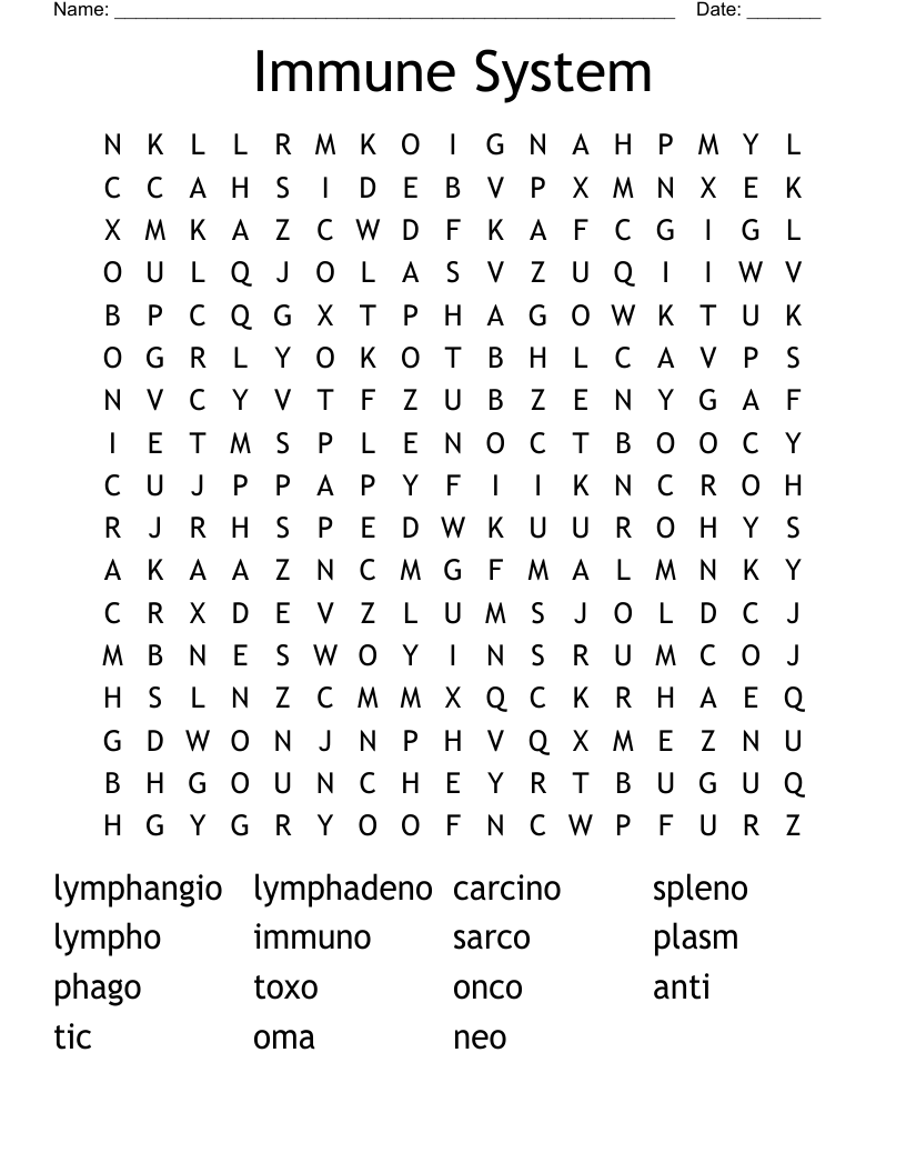 Immune System Word Search