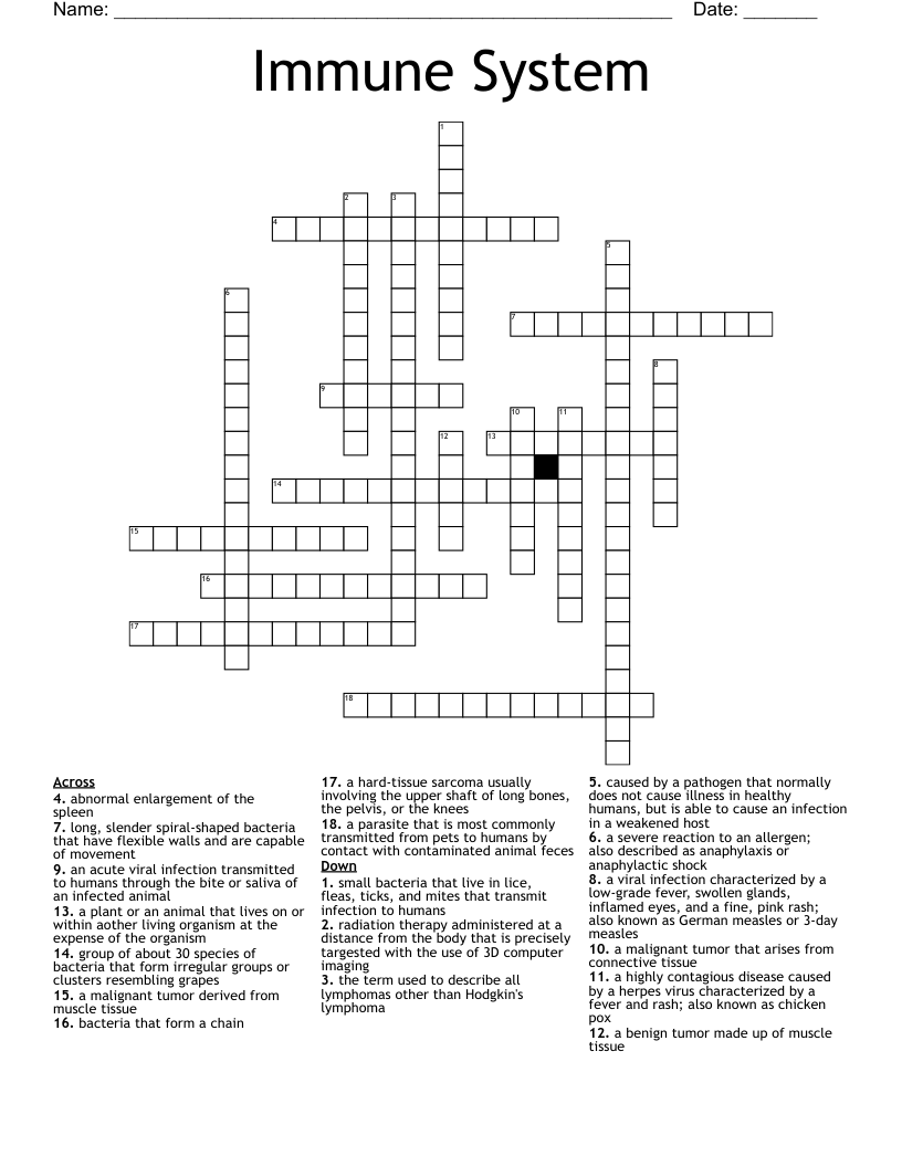 Immune System Crossword
