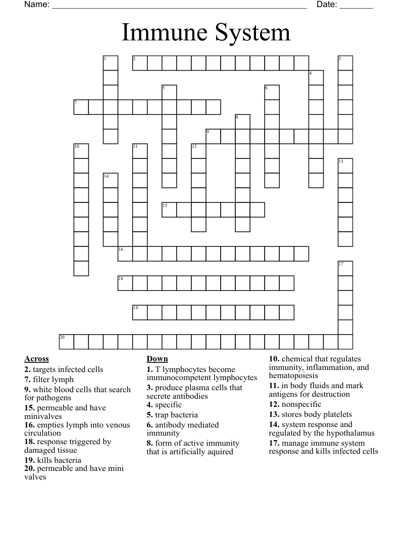 Immune System Crossword