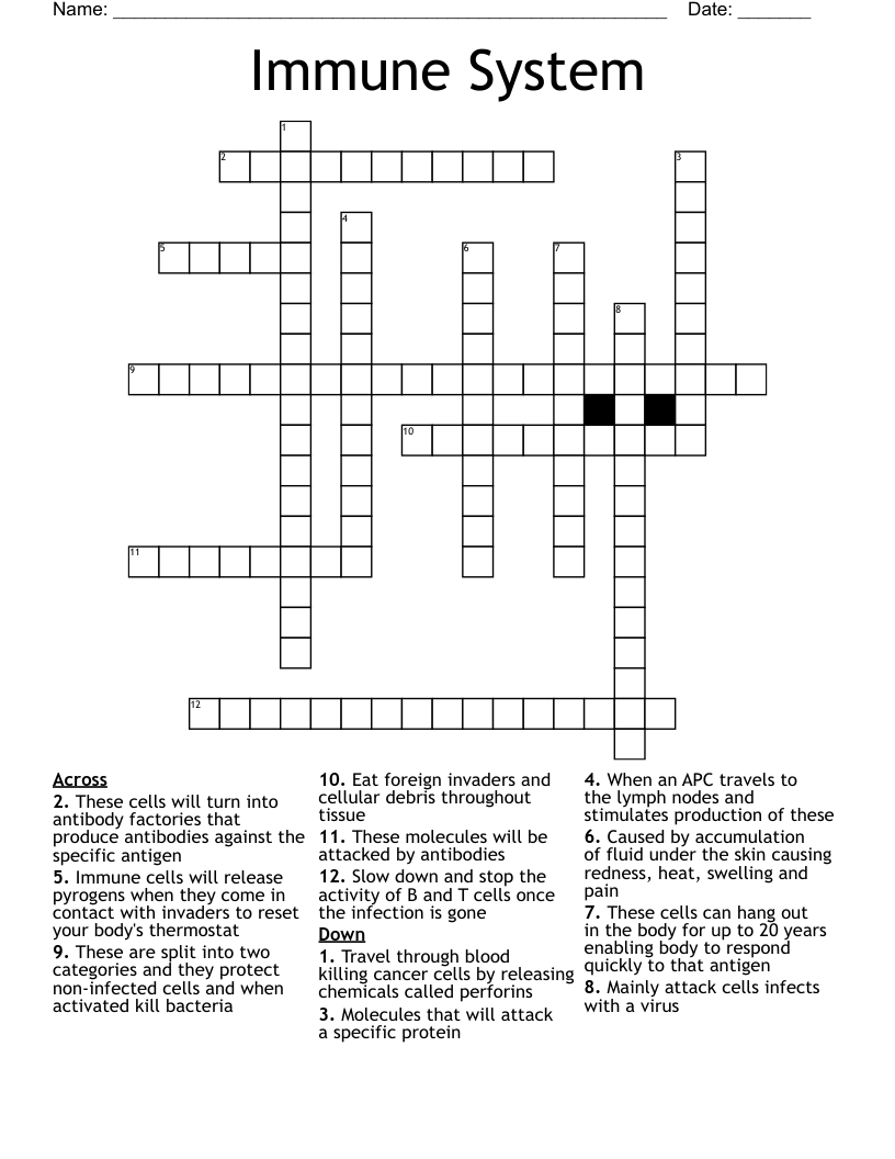 Immune System Crossword