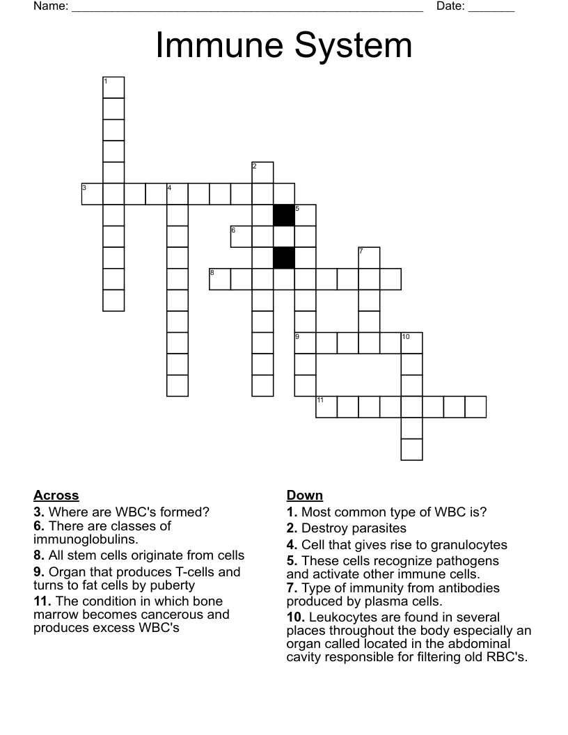 Immune System Crossword