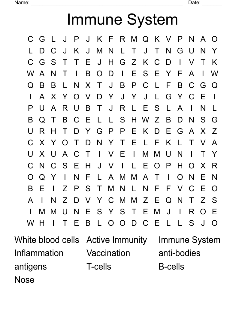 Immune System Word Search