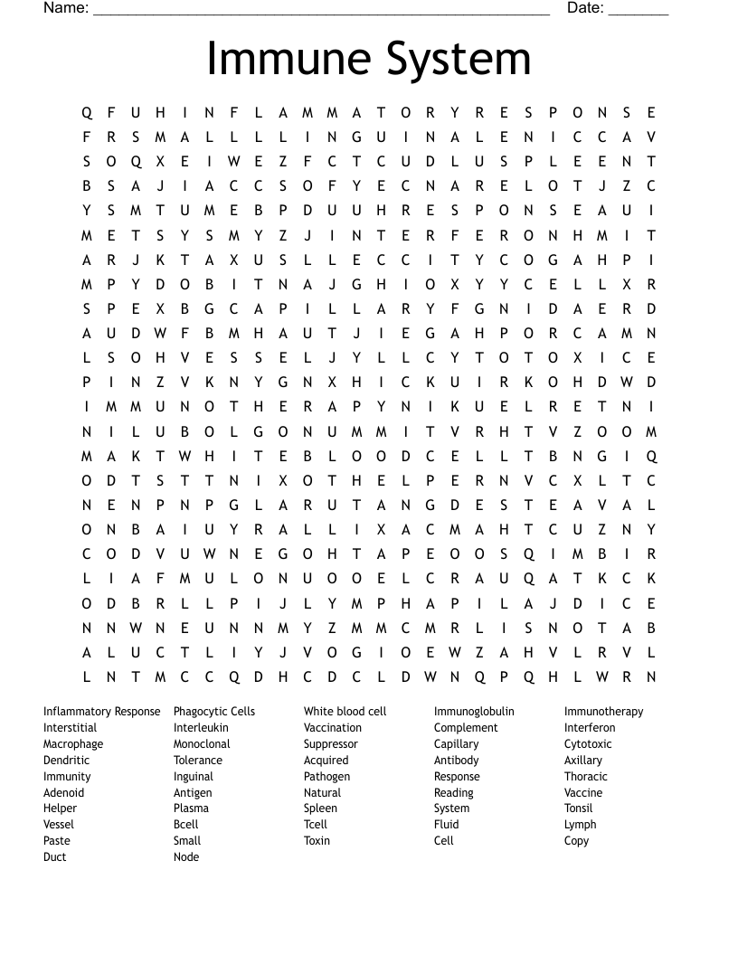 Immune System Word Search