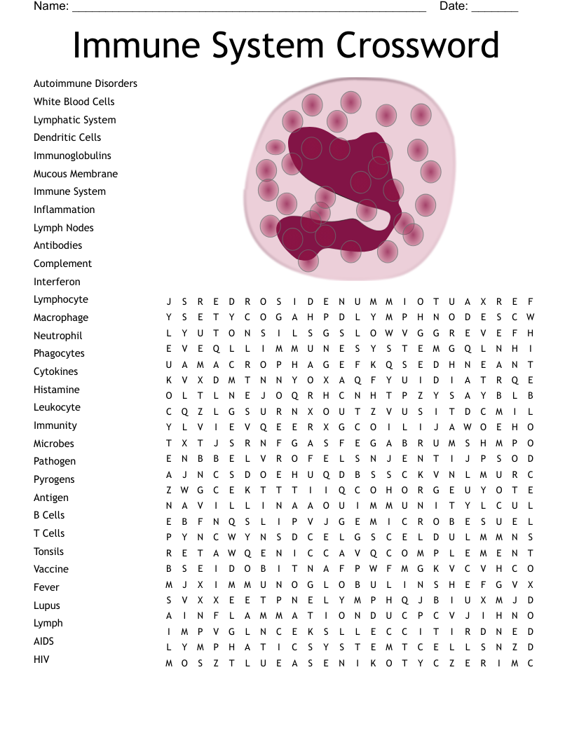 Immune System Crossword Word Search